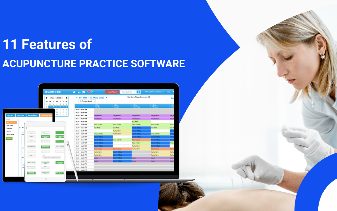 11 Features of Acupuncture Practice Software